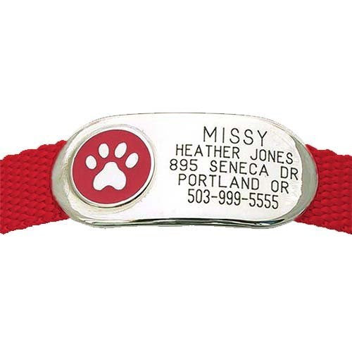 Jewelry Collar Tag - Paw, - Lucky Pet